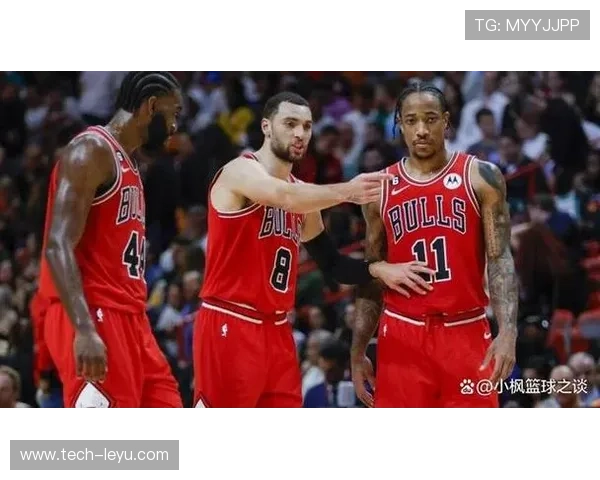 聚焦NBA公牛赛程全解析关键对决时间节点与赛季走势前瞻深度版