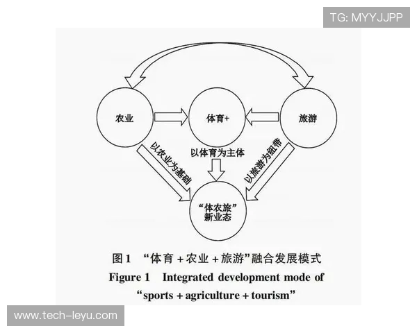 精准解读运动表现与动作机制的创新方法在体育技术分析中的应用 精准解读运动表现与动作机制的创新方法在体育技术分析中的应用